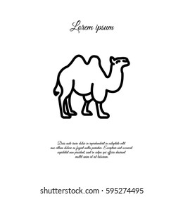 Web line icon. Camel; wild animals