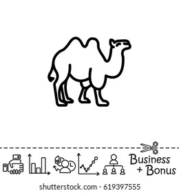 Web line icon. Camel; wild animals