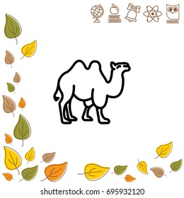 Web line icon. Camel; wild animals