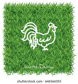 Web line icon. Cock