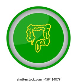 Web line icon. Colon, large intestine