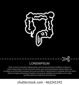 Web line icon. Colon, large intestine