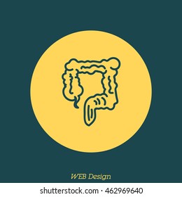 Web line icon. Colon, large intestine