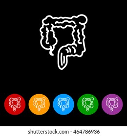 Web line icon. Colon, large intestine