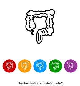 Web line icon. Colon, large intestine