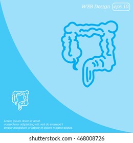 Web line icon. Colon, large intestine
