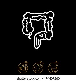 Web line icon. Colon, large intestine