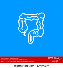 Web line icon. Colon, large intestine