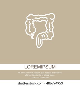 Web line icon. Colon, large intestine