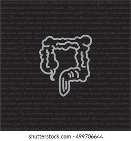 Web line icon. Colon, large intestine