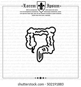Web line icon. Colon, large intestine