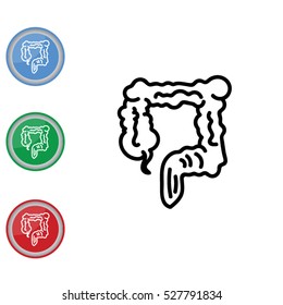 Web line icon. Colon, large intestine
