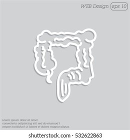 Web line icon. Colon, large intestine