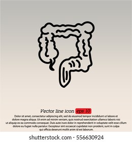 Web line icon. Colon, large intestine