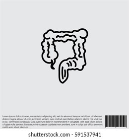 Web line icon. Colon, large intestine