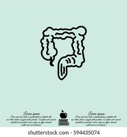 Web line icon. Colon, large intestine