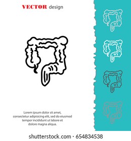 Web line icon. Colon, large intestine