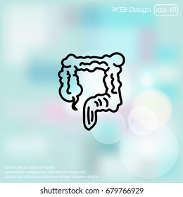 Web line icon. Colon, large intestine