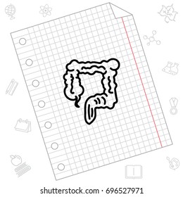 Web line icon. Colon, large intestine