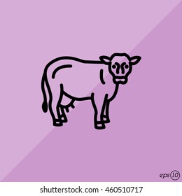 Web line icon. Cow, livestock