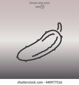 Web line icon. Cucumber