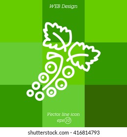 Web line icon. Currants