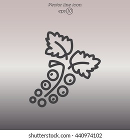 Web line icon. Currants