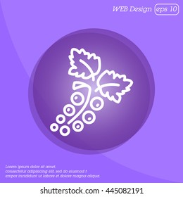 Web line icon. Currants