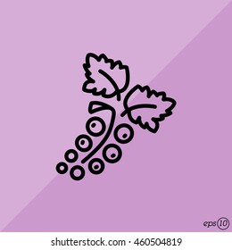 Web line icon. Currants