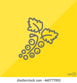 Web line icon. Currants
