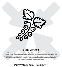 Web line icon. Currants