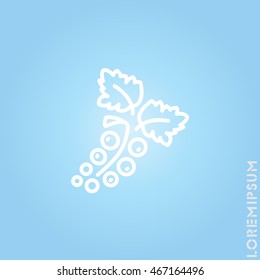 Web line icon. Currants