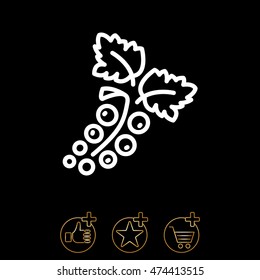Web line icon. Currants
