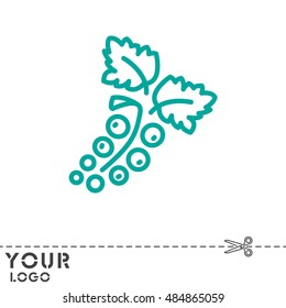 Web line icon. Currants