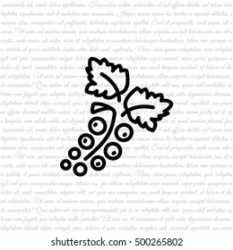 Web line icon. Currants
