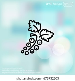 Web line icon. Currants