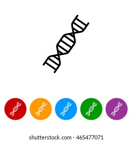 Web line icon. DNA molecule