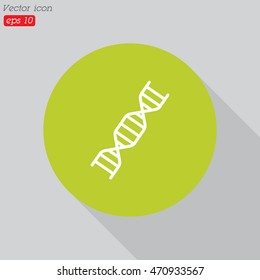 Web line icon. DNA molecule