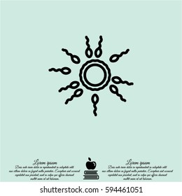 Web line icon. Egg and sperm.