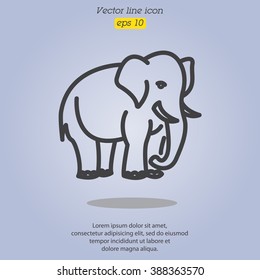 Web line icon. Elephant; wild animals