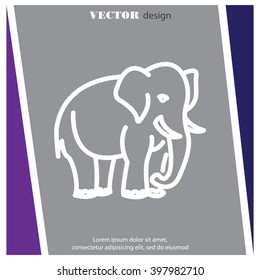 Web line icon. Elephant; wild animals