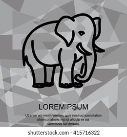Web line icon. Elephant; wild animals