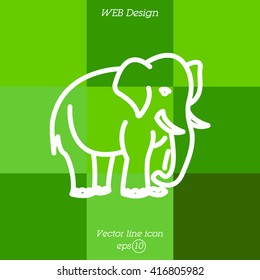 Web line icon. Elephant; wild animals