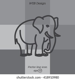 Web line icon. Elephant; wild animals