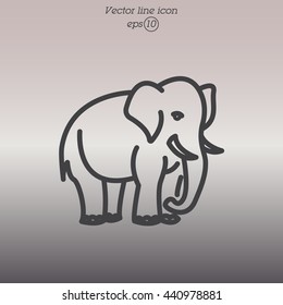 Web line icon. Elephant; wild animals