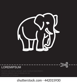 Web line icon. Elephant; wild animals