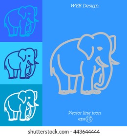 Web line icon. Elephant; wild animals