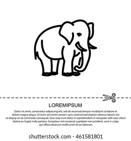 Web line icon. Elephant; wild animals