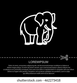 Web line icon. Elephant; wild animals