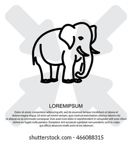 Web line icon. Elephant; wild animals